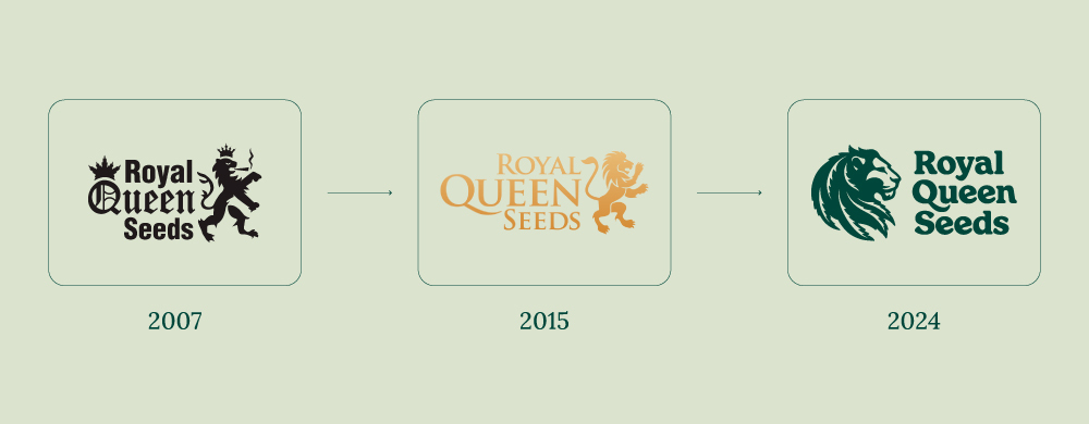 Historia de rqs